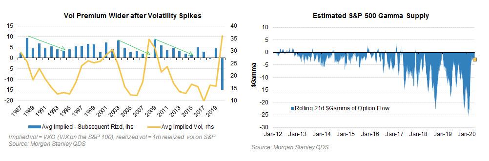 Morgan Stanley QDS Volatility Premium and S&P500 Gamma Supply