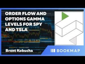 order flow and options gamma levels for SPY and TSLA Bookmap presentation with SpotGamma