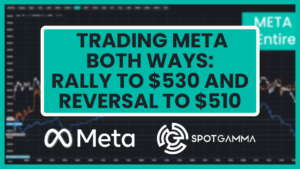 Doug-Pless-SpotGamma-Meta-Trade-June-2024