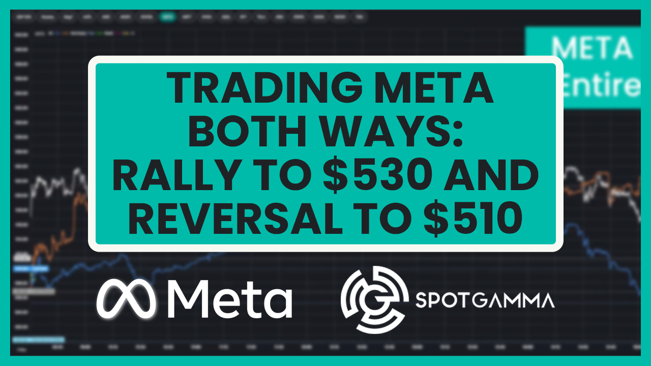 Meta Rips to $530 Then Reverses; SpotGamma Flow Signals Identify Both Sides of the Trade